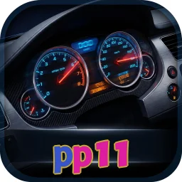 pp11